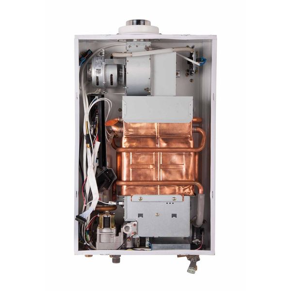 Колонка газова димохідна Thermo Alliance JSG20-10ETP18 10 л Gold SD00031250 фото